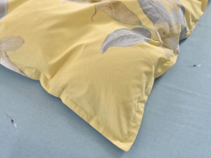 Комплект постельного белья Софи де Марко Беатриче Евромакси